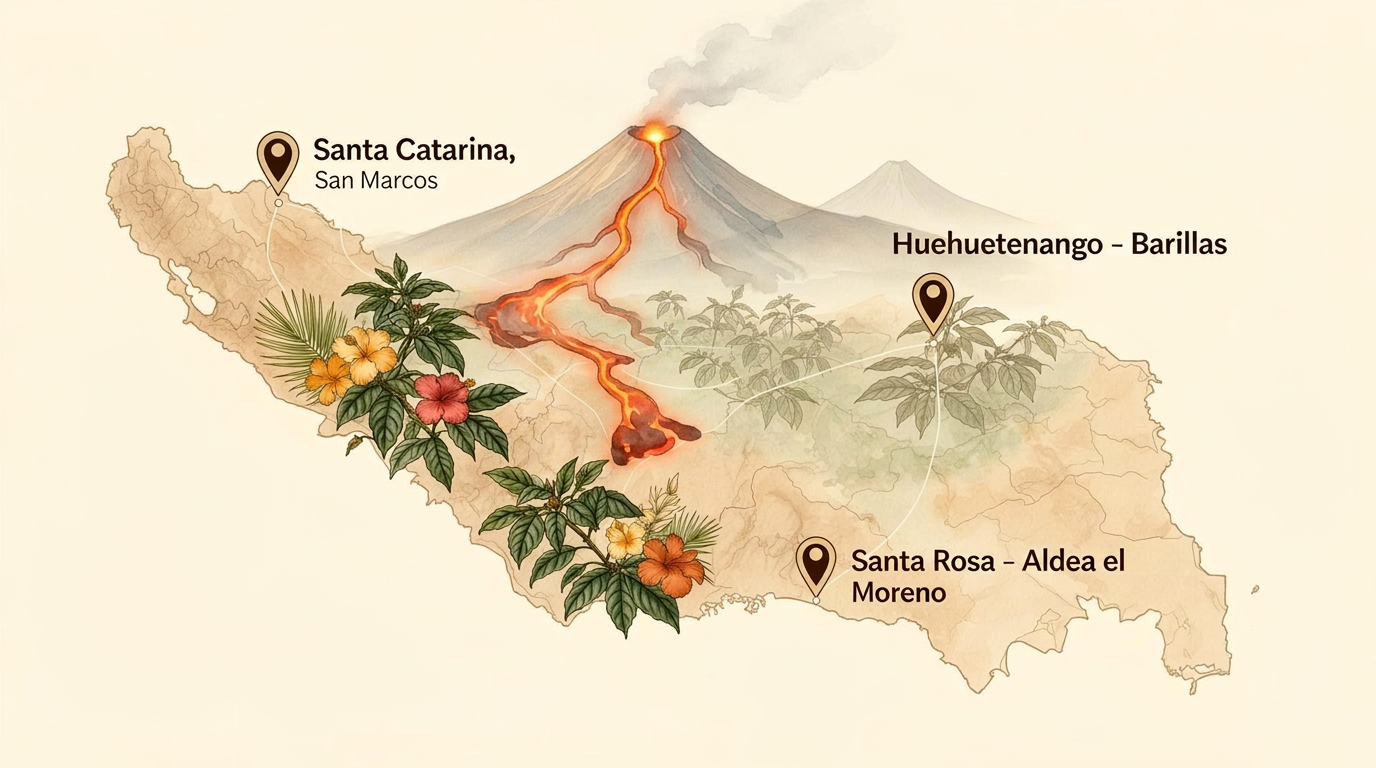 Mapa de Guatemala con marcadores de origen del café en Santa Catarina San Marcos, Huehuetenango Barillas y Santa Rosa Aldea el Moreno